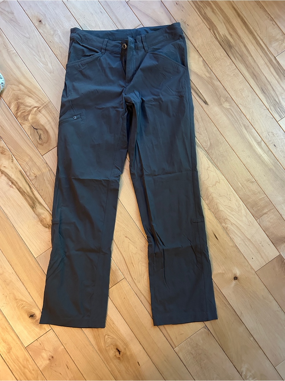 Patagonia Hiking Pants (Women’s Size 6)